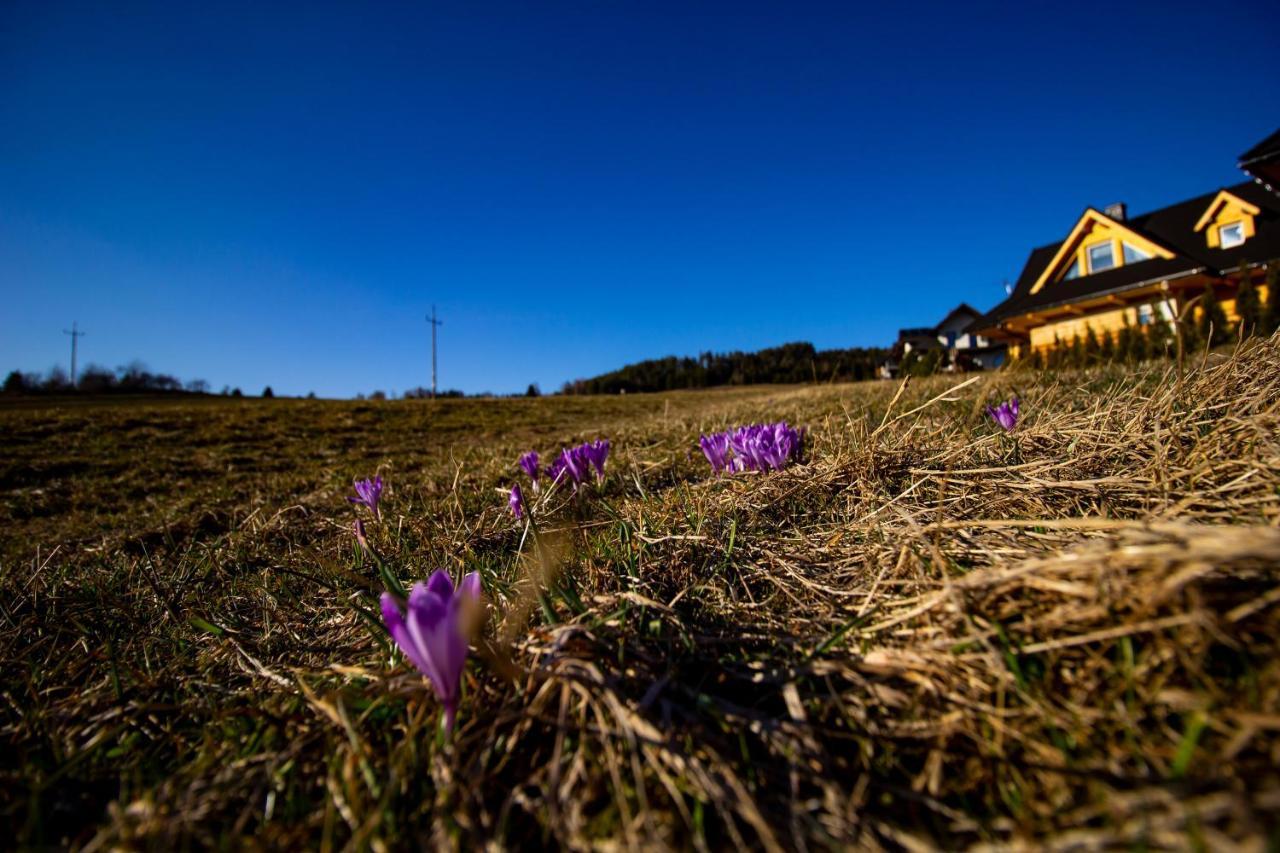 Em Gorce Resort Domki Z Sauna I Jacuzzi Waksmund Exterior foto
